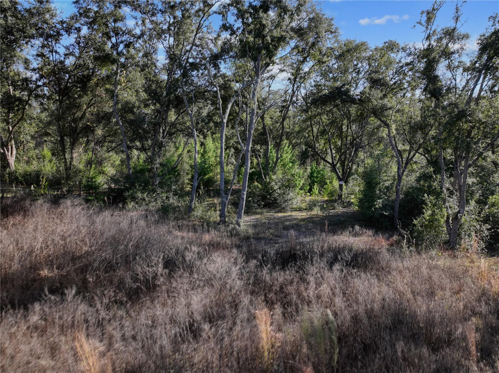 GC536140 Property Photo 5