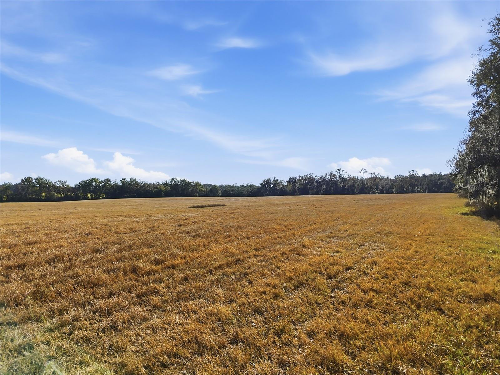 Hwy 236 Nw 236 Property Photo 6