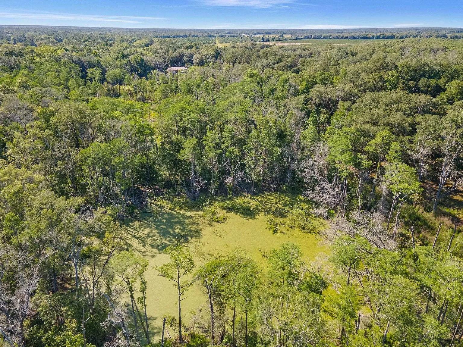 2000 Mixon Rd Property Photo 3
