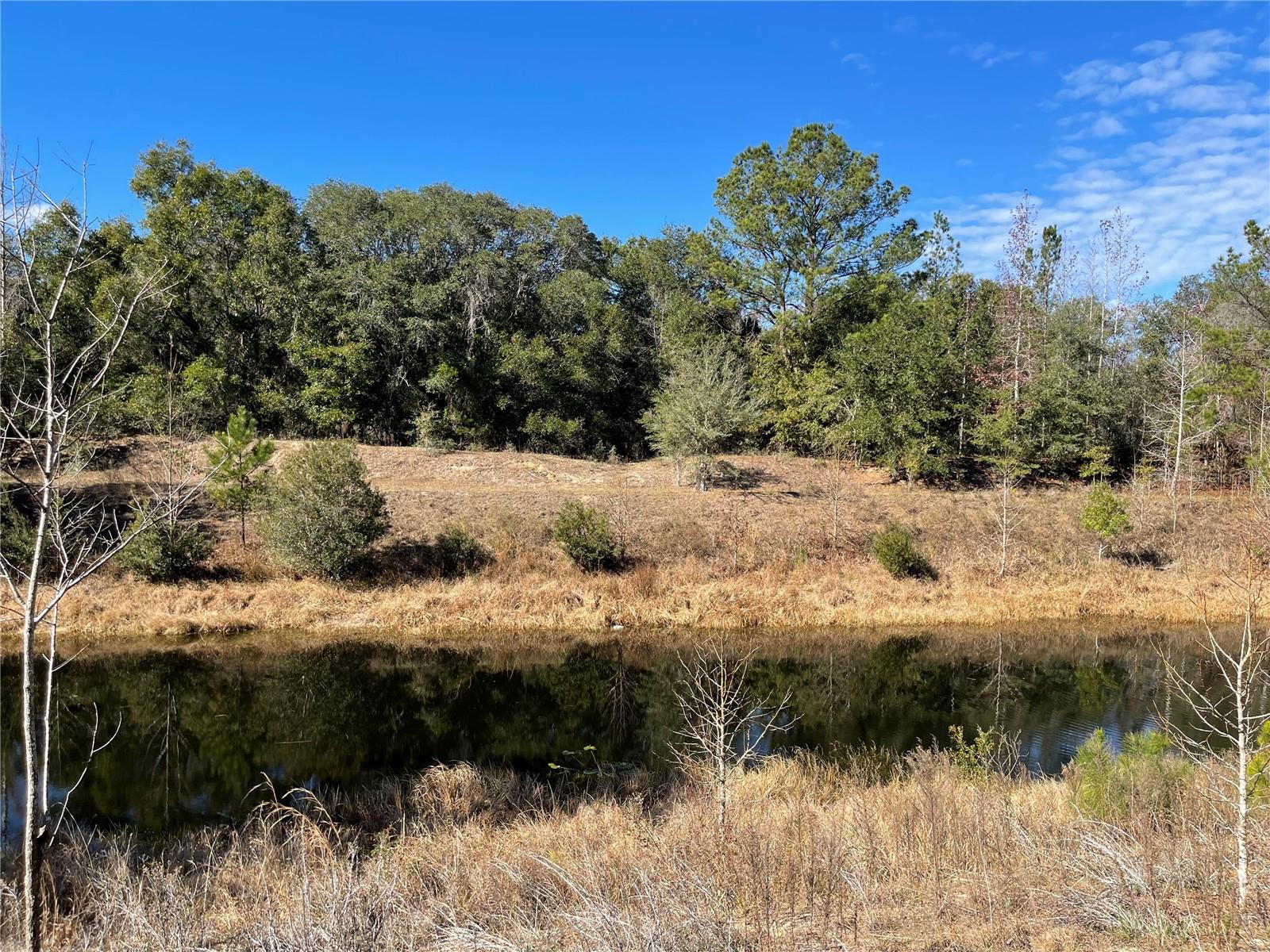 24510 Ne State Rd 26 Property Photo 16
