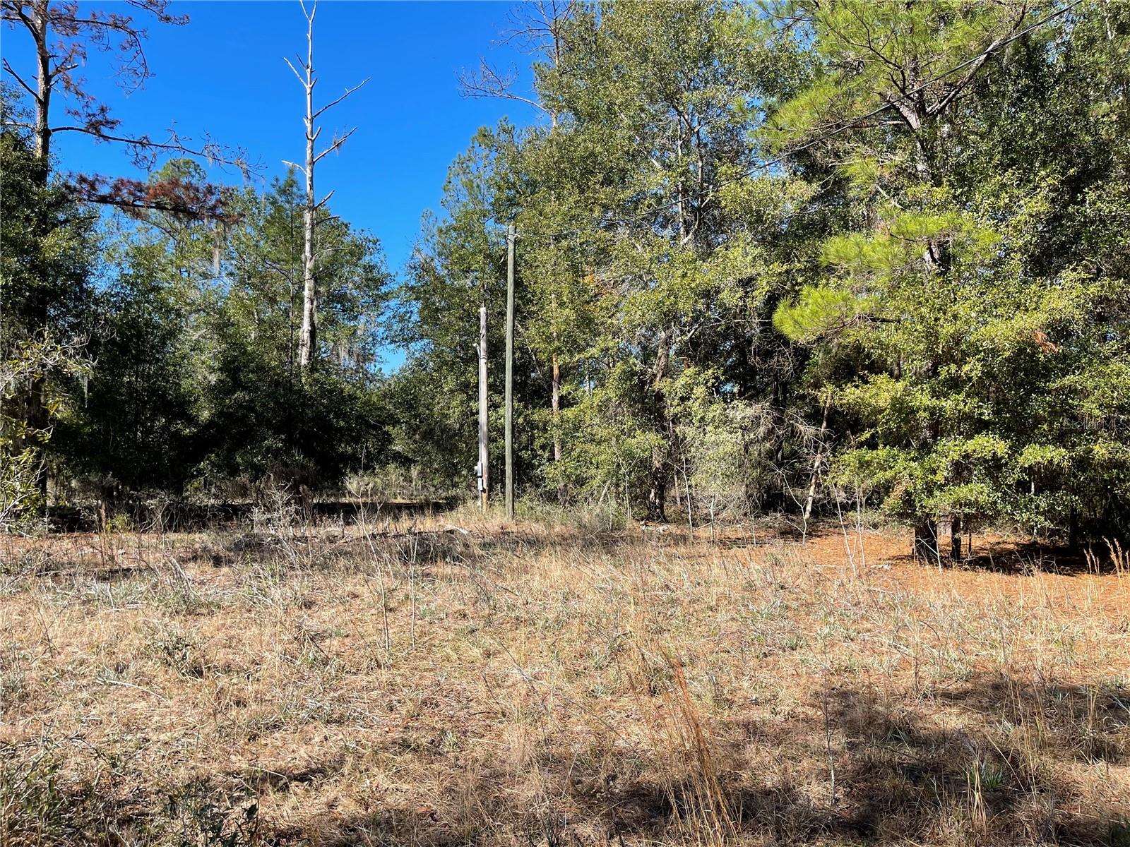 24510 Ne State Rd 26 Property Photo 19