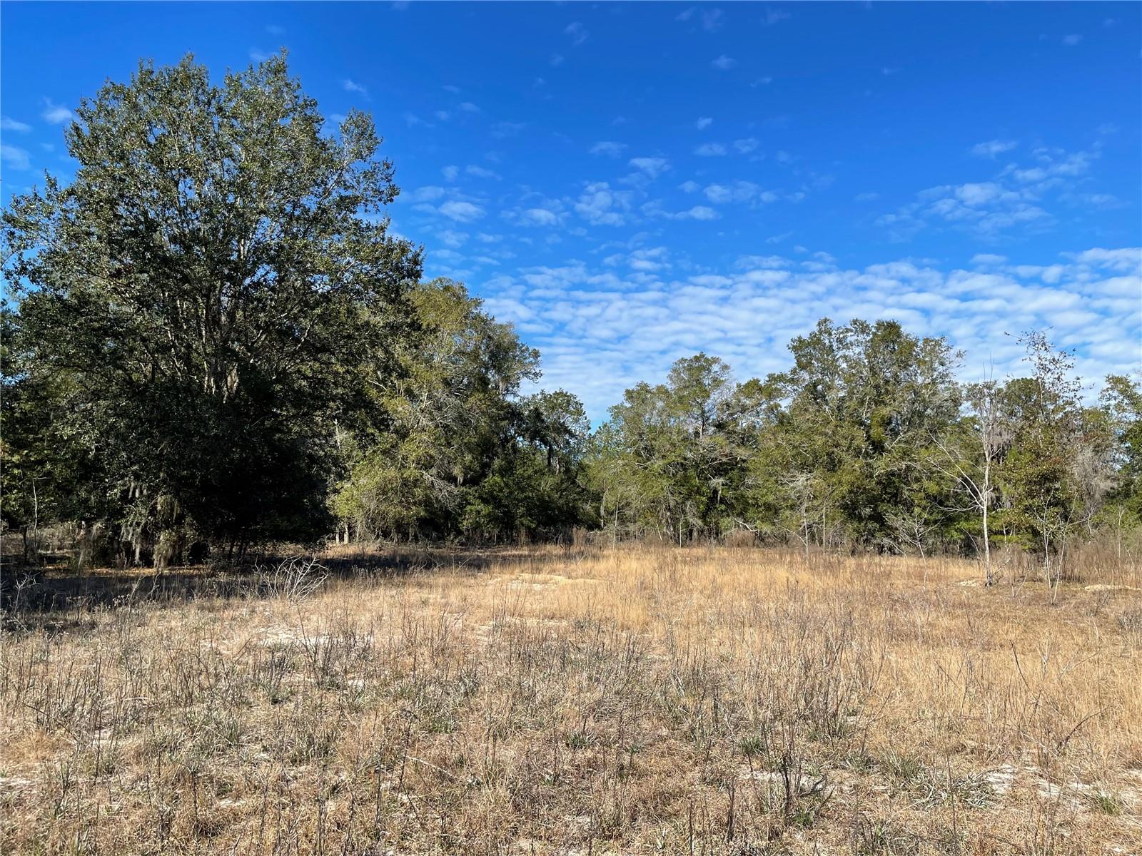 24510 Ne State Rd 26 Property Photo 20