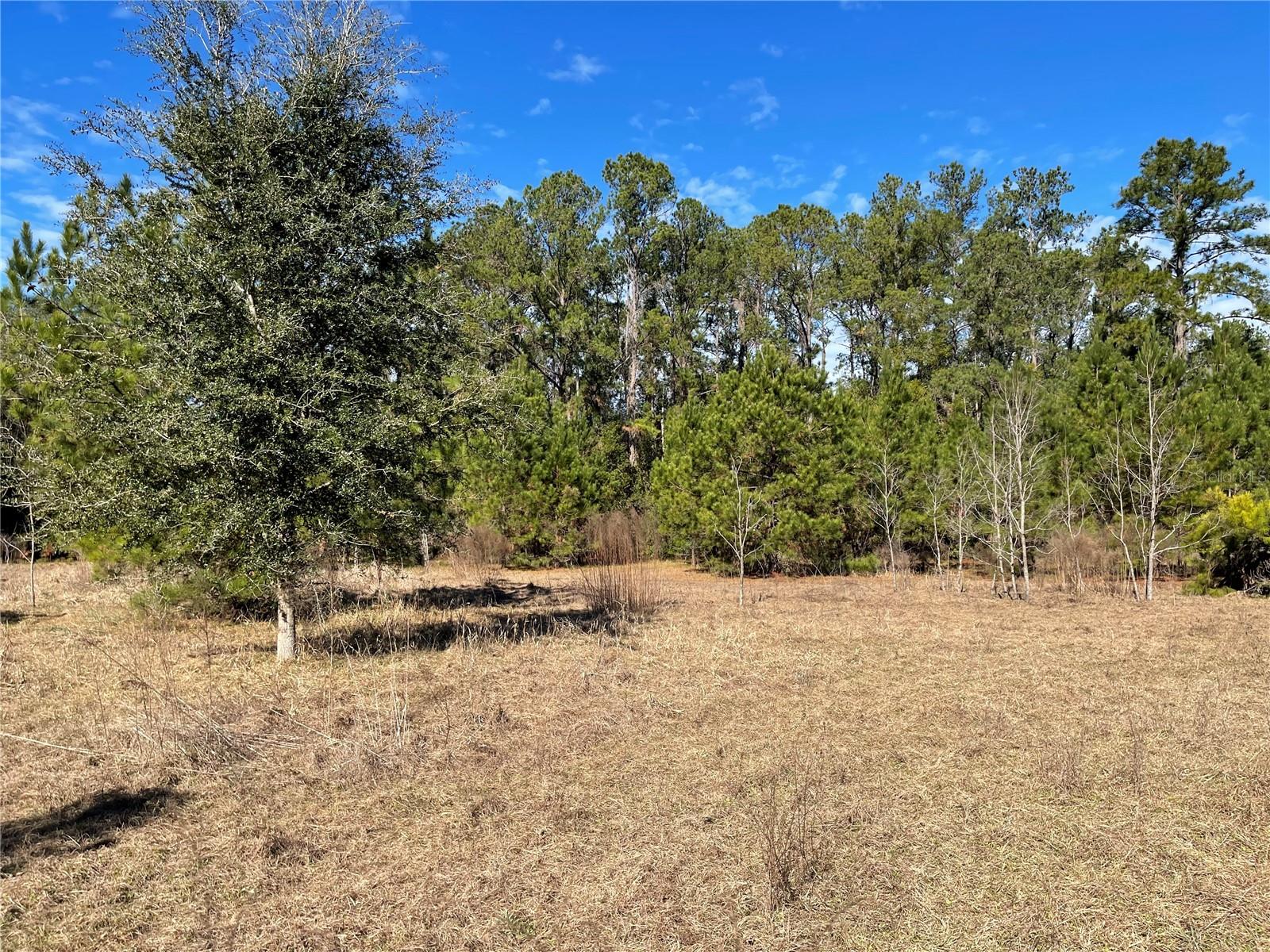 24510 Ne State Rd 26 Property Photo 23
