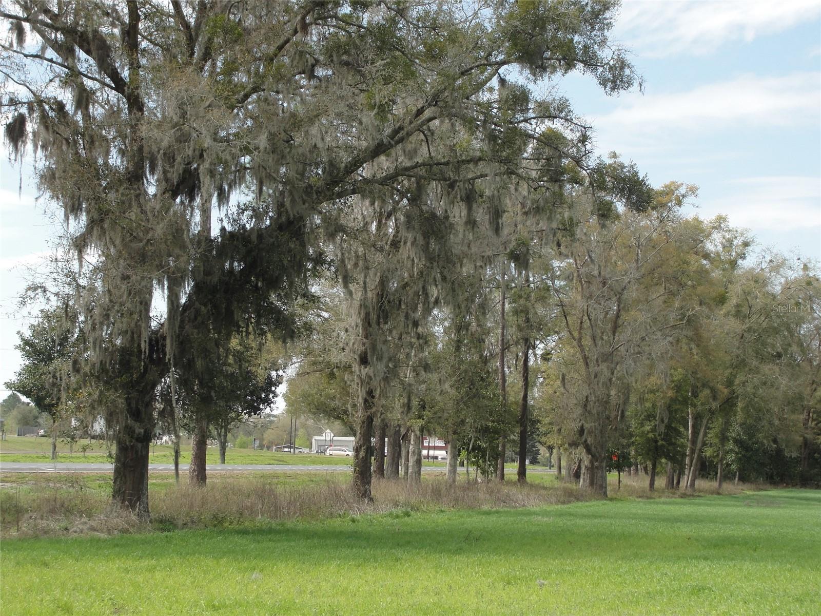 Tbd Highway 441 Property Photo 4