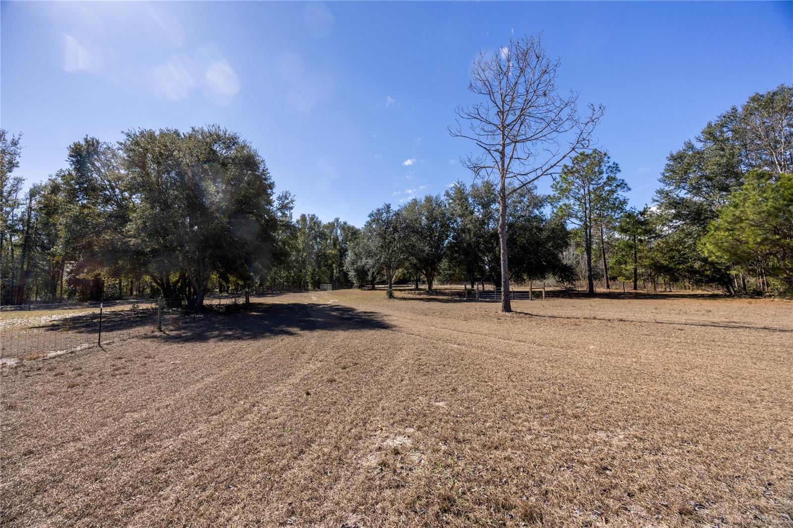12456 155th Pl Property Photo 62