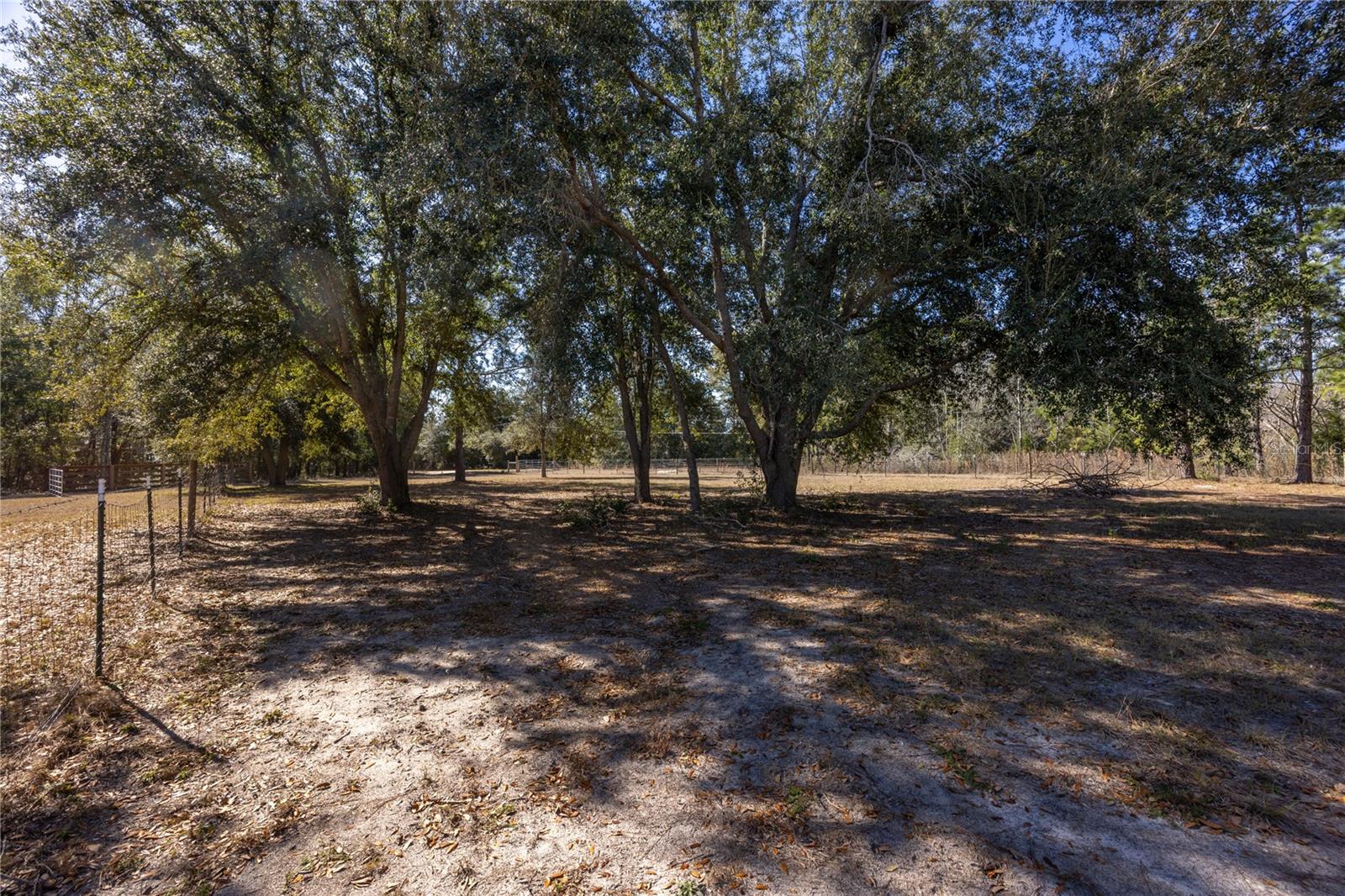 12456 155th Pl Property Photo 63