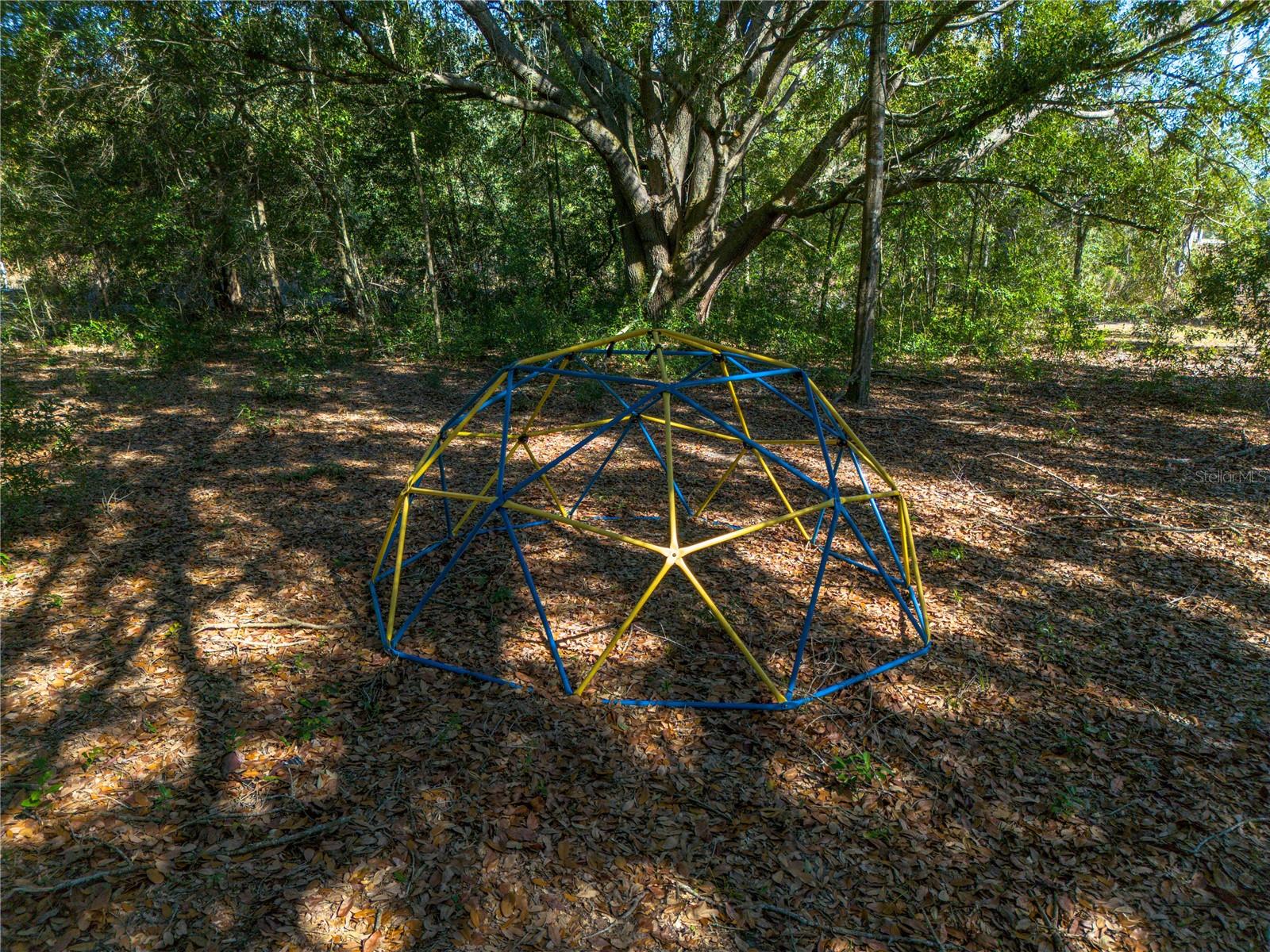 12456 155th Pl Property Photo 92