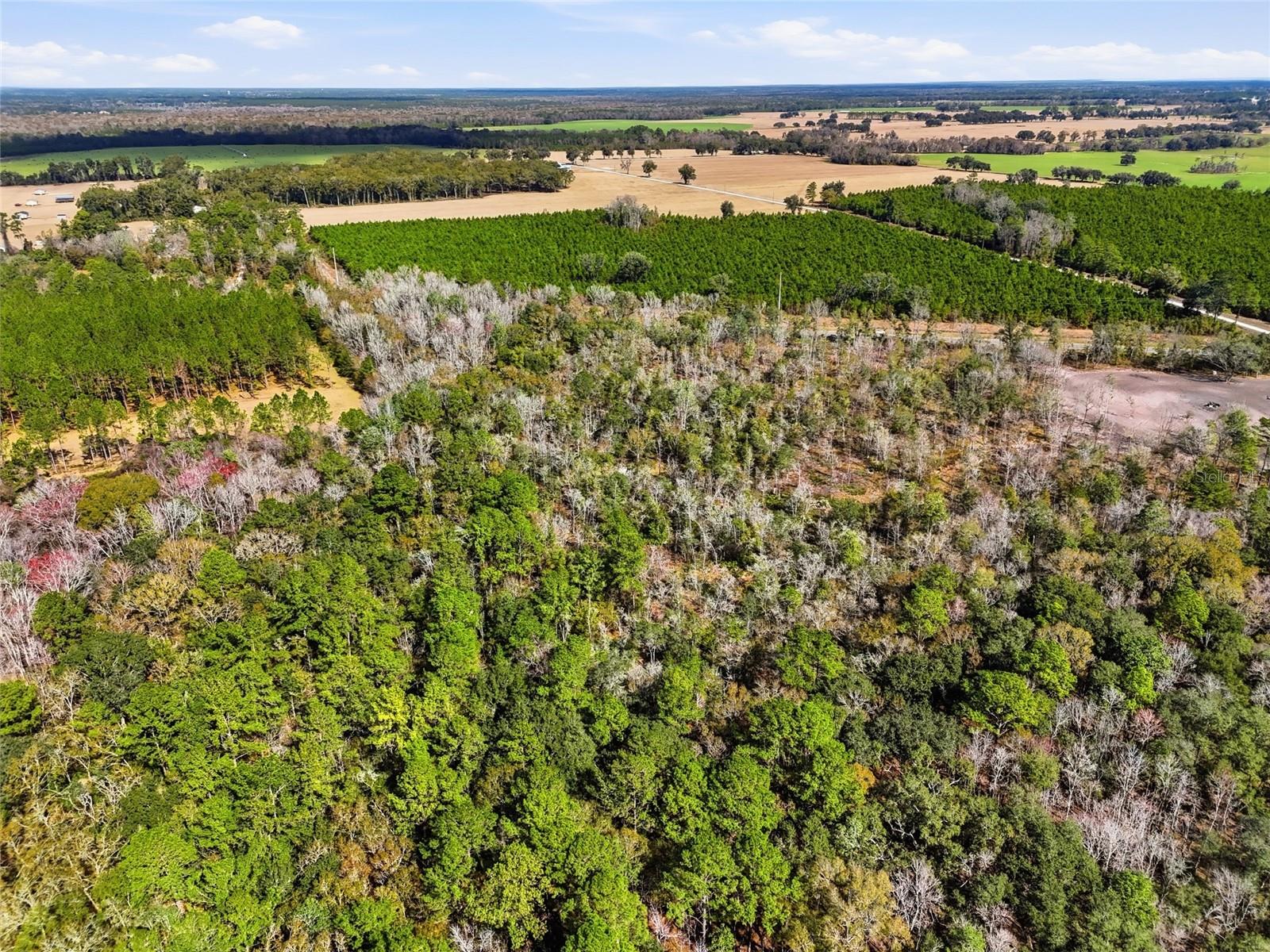 20994 Sw County Road 18 #lot 1 Property Photo 12