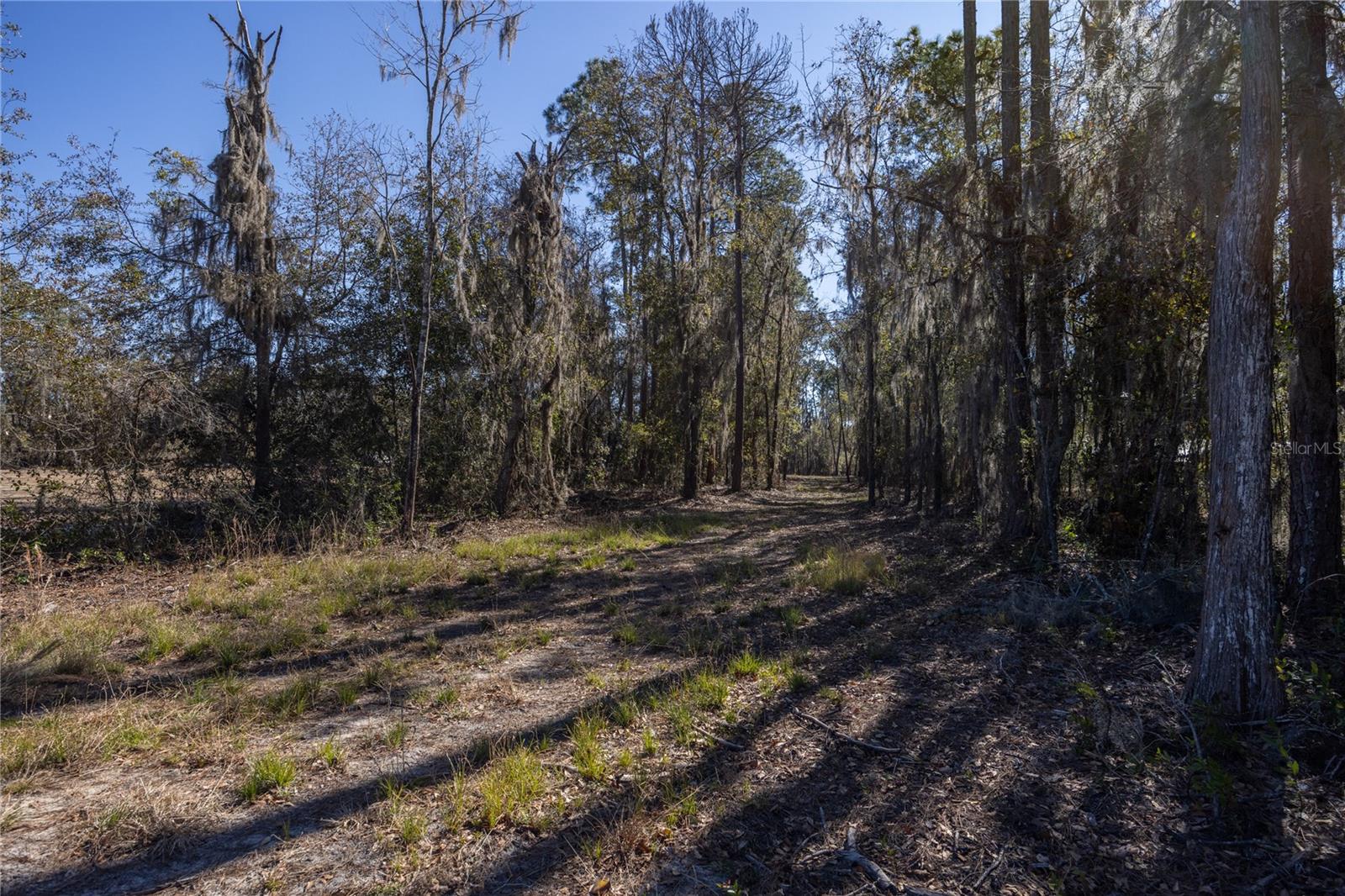 155th Way Property Photo 2