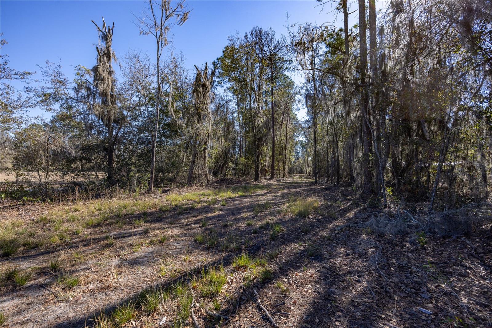 155th Way Property Photo 3
