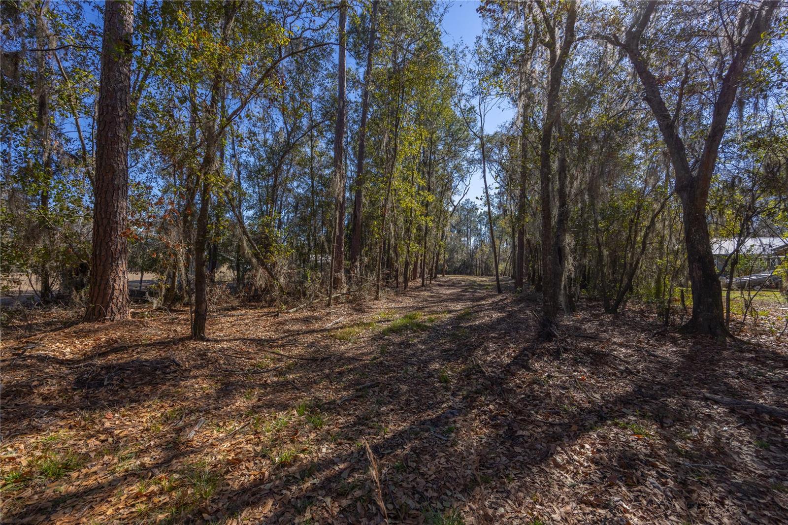 155th Way Property Photo 4