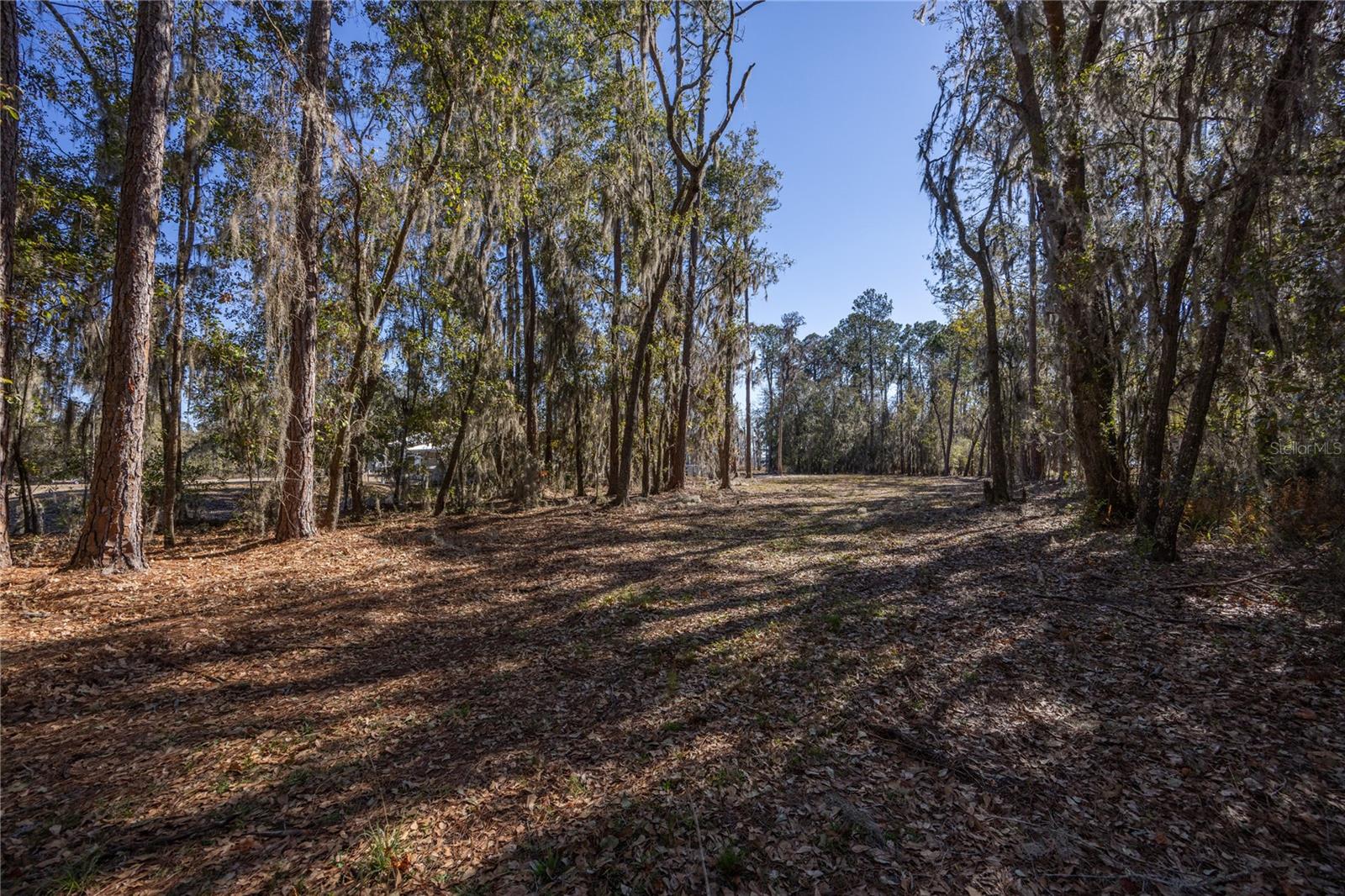 155th Way Property Photo 6