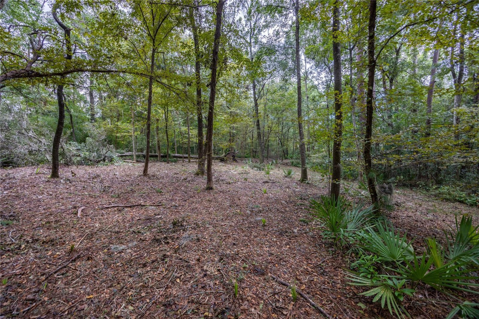 3960 Nw 30th Pl Property Photo 10
