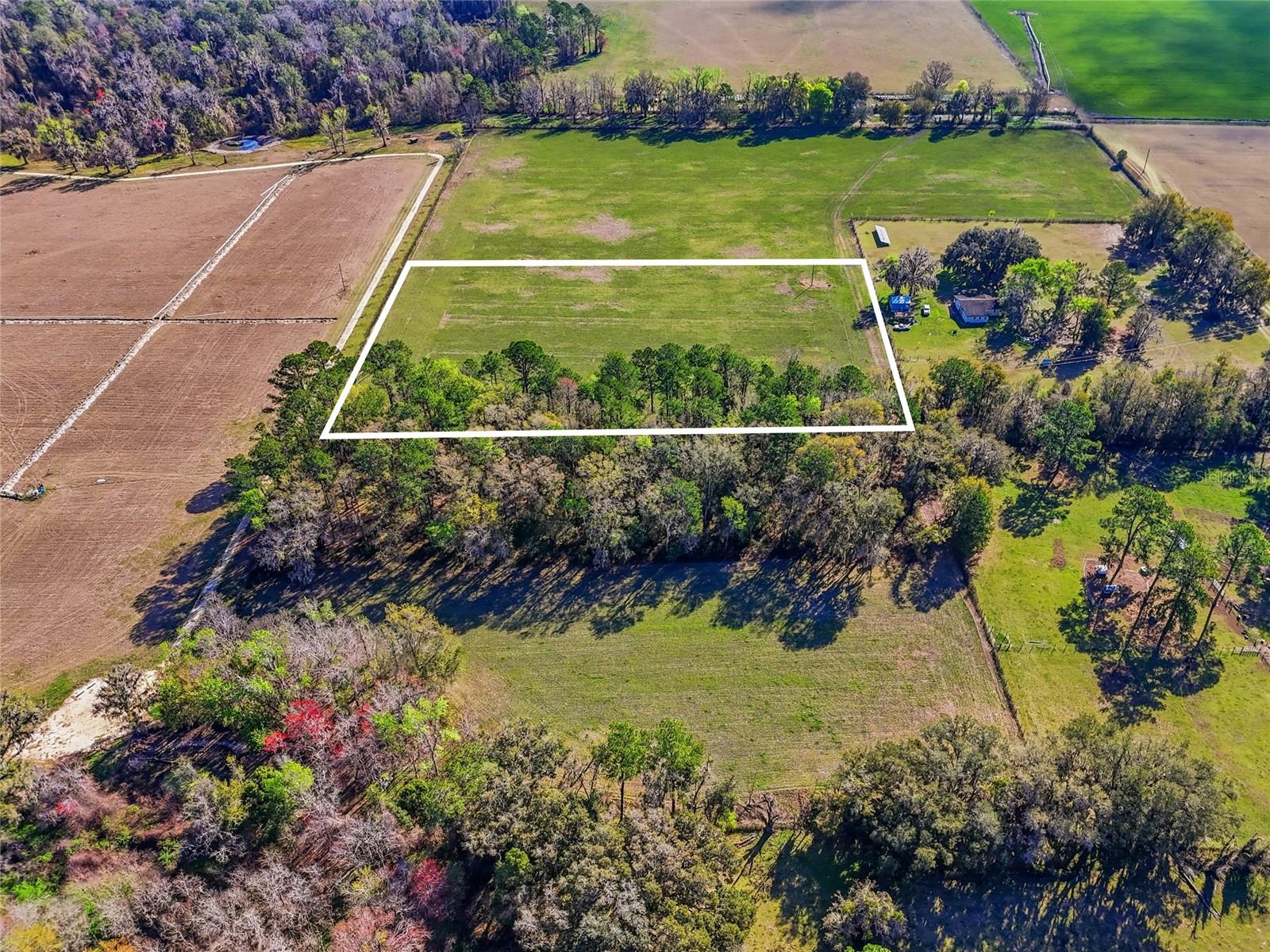 Tbd Nw County Rd 239 Property Photo 6
