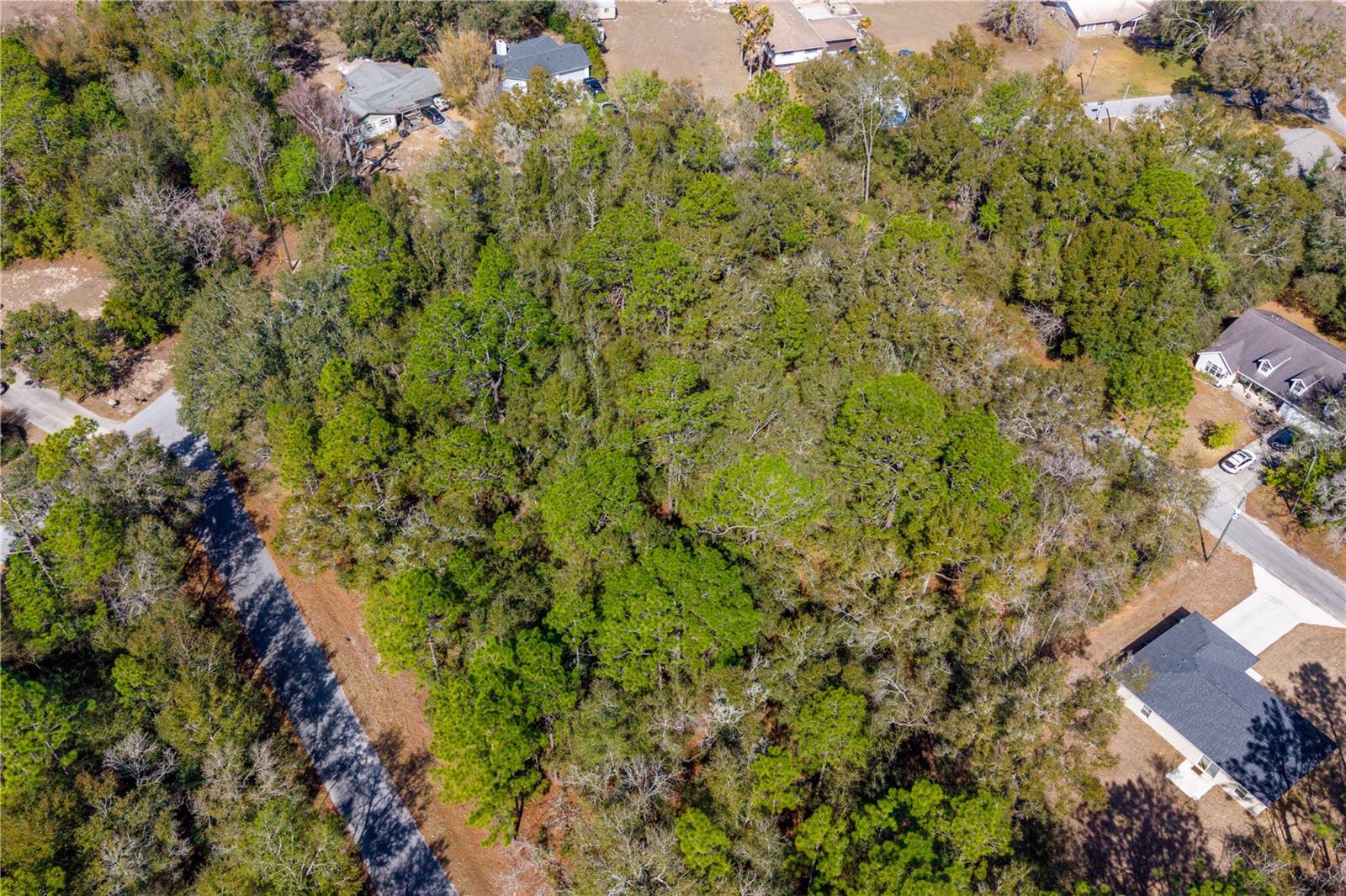 Tbd Ne 1st Pl, Lot 6 Property Photo 6