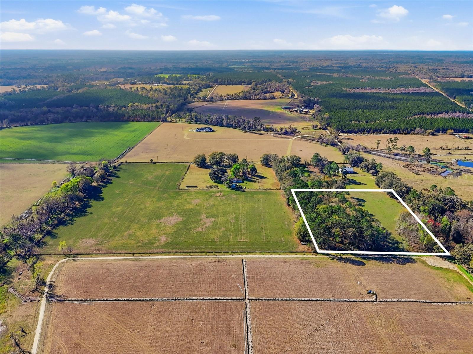 Nw County Rd 239 Property Photo 4