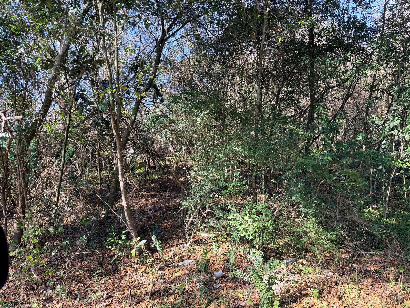 Tbd Nw 151st Ave Property Photo 1