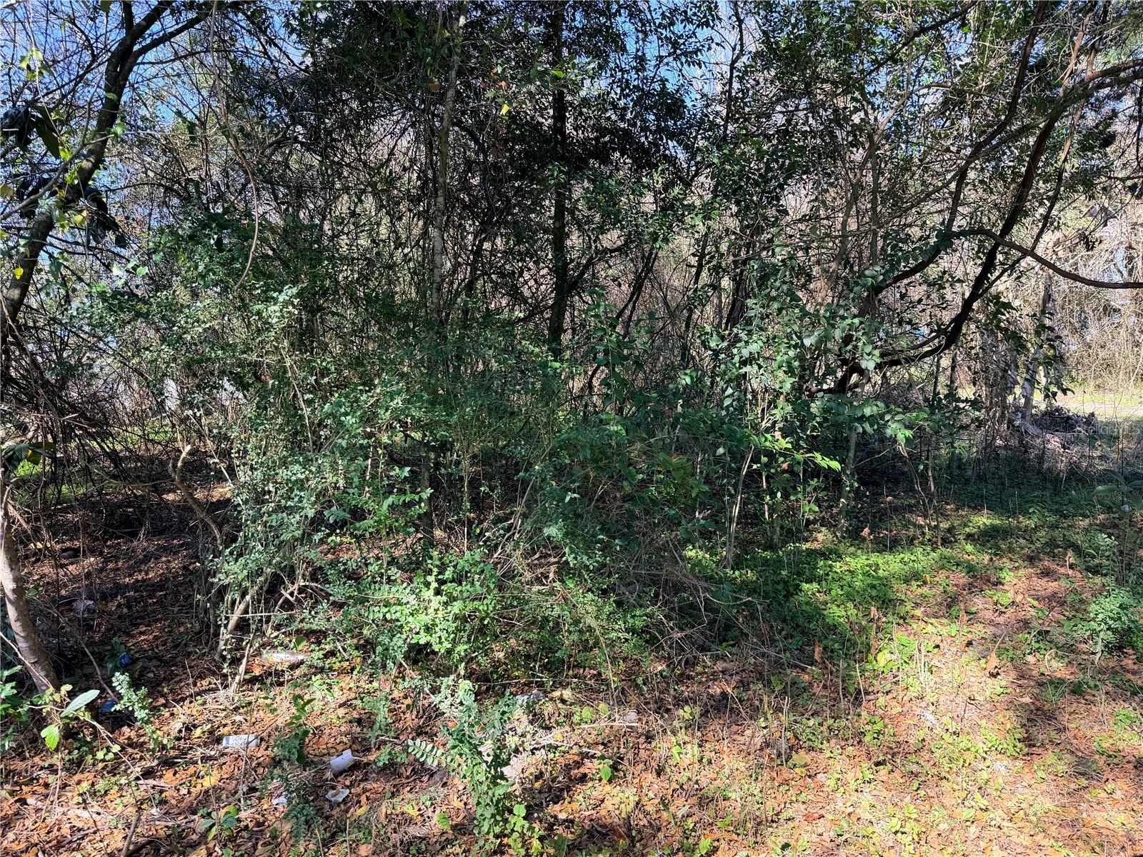 Tbd Nw 151st Ave Property Photo 2
