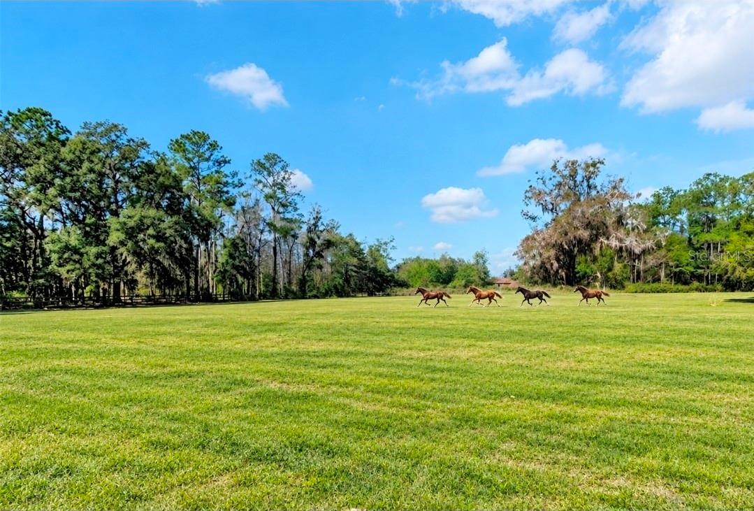 573 Se Nature Dr Property Photo 47