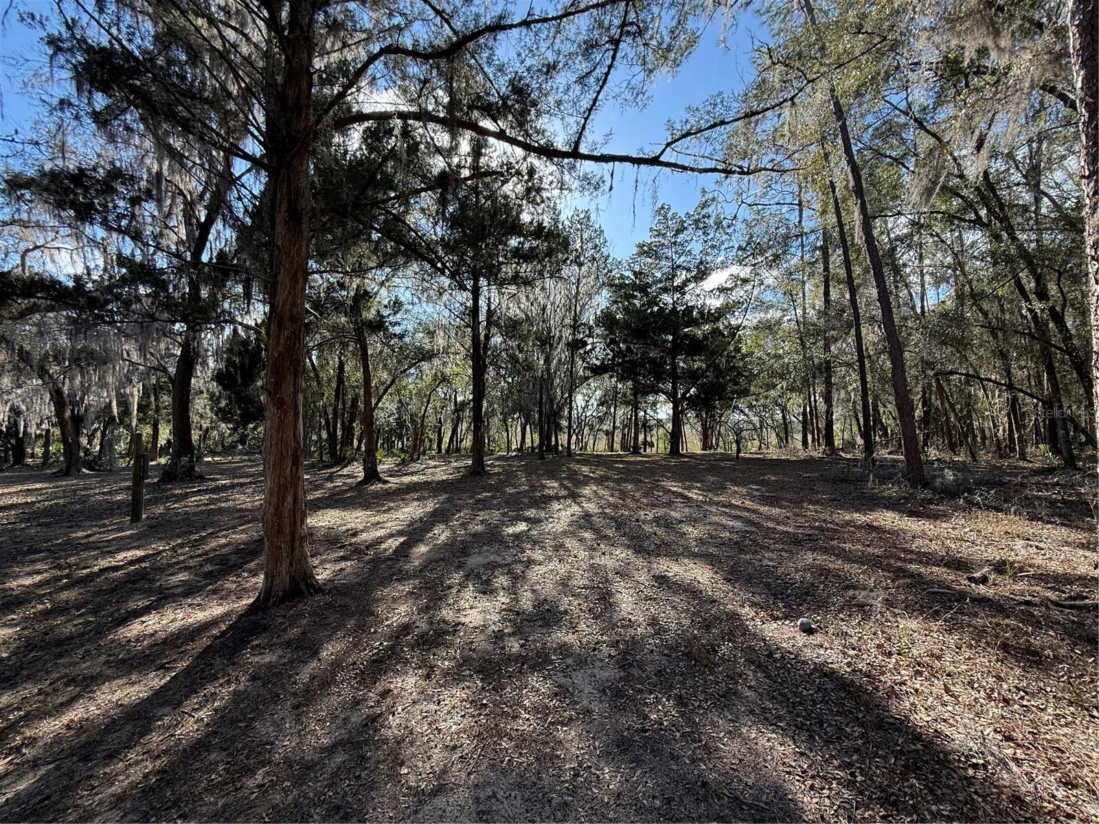 17830 Ne 49th Street Rd Property Photo 22