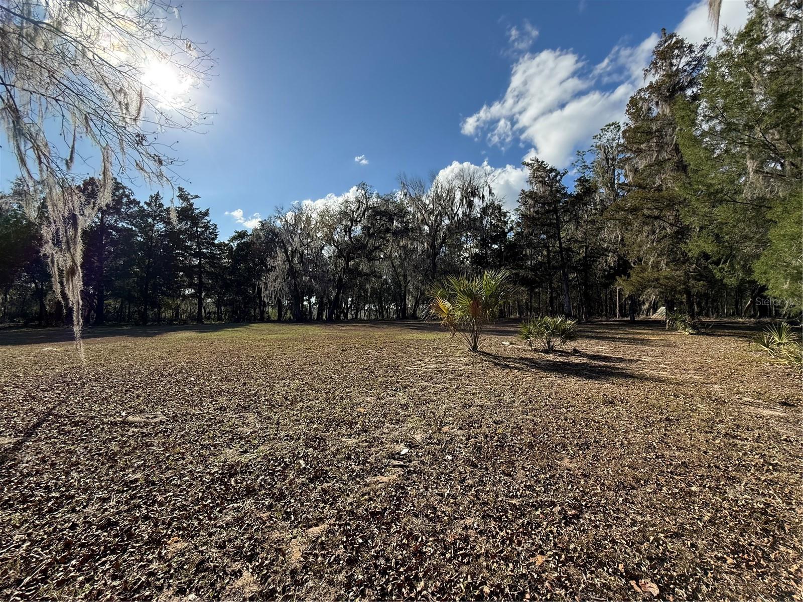 17830 Ne 49th Street Rd Property Photo 23