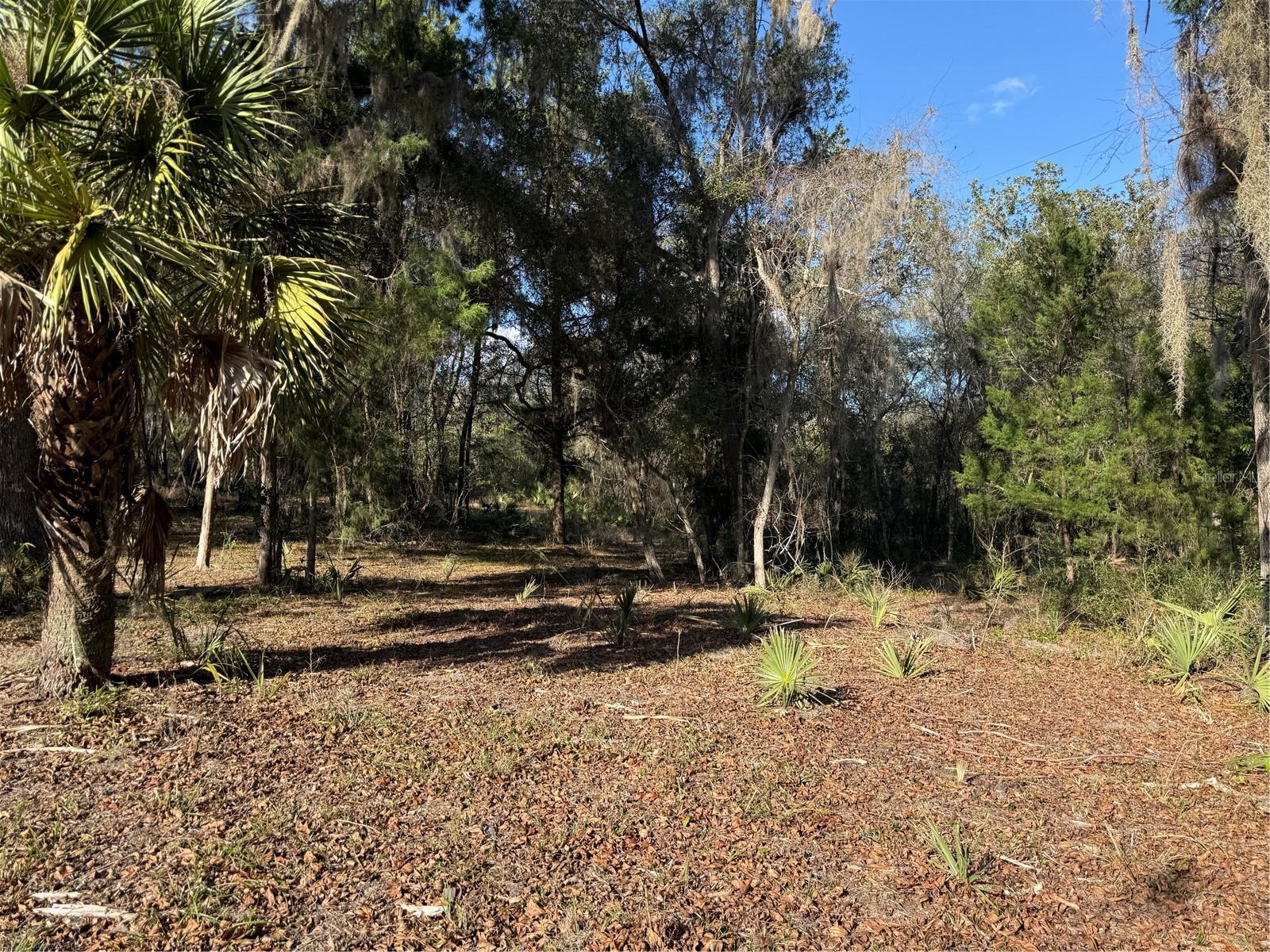 17830 Ne 49th Street Rd Property Photo 24