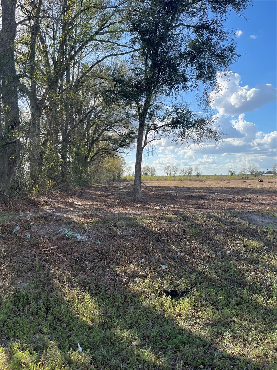 Tbd 185th Rd Property Photo 12