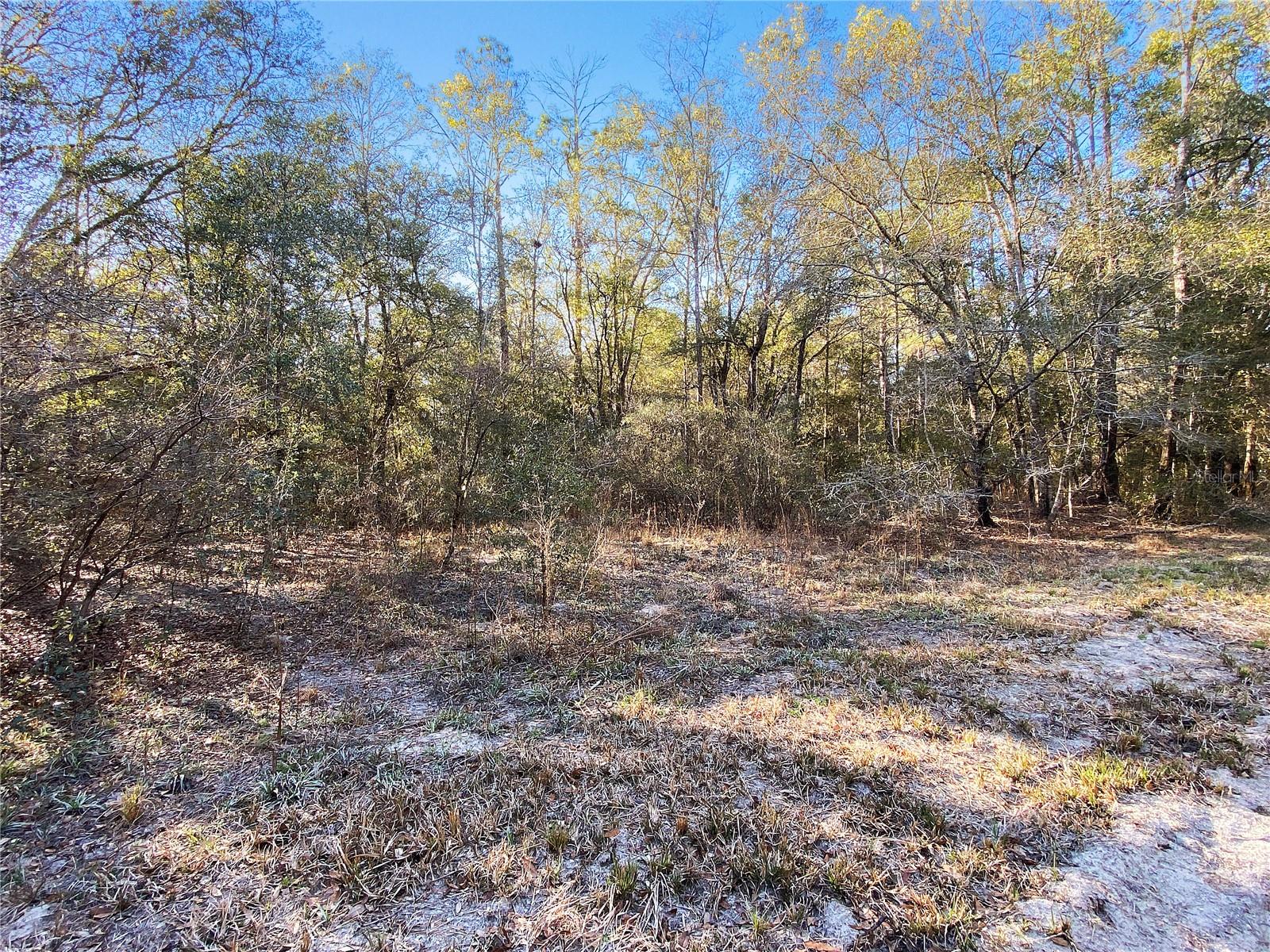 Sw Buffalo Ct Property Photo 6