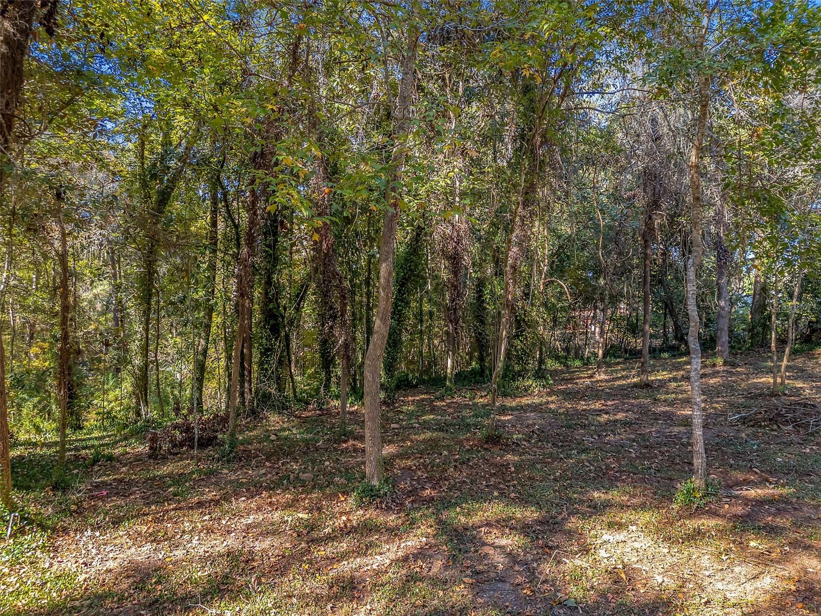 0 GLENNIS CT