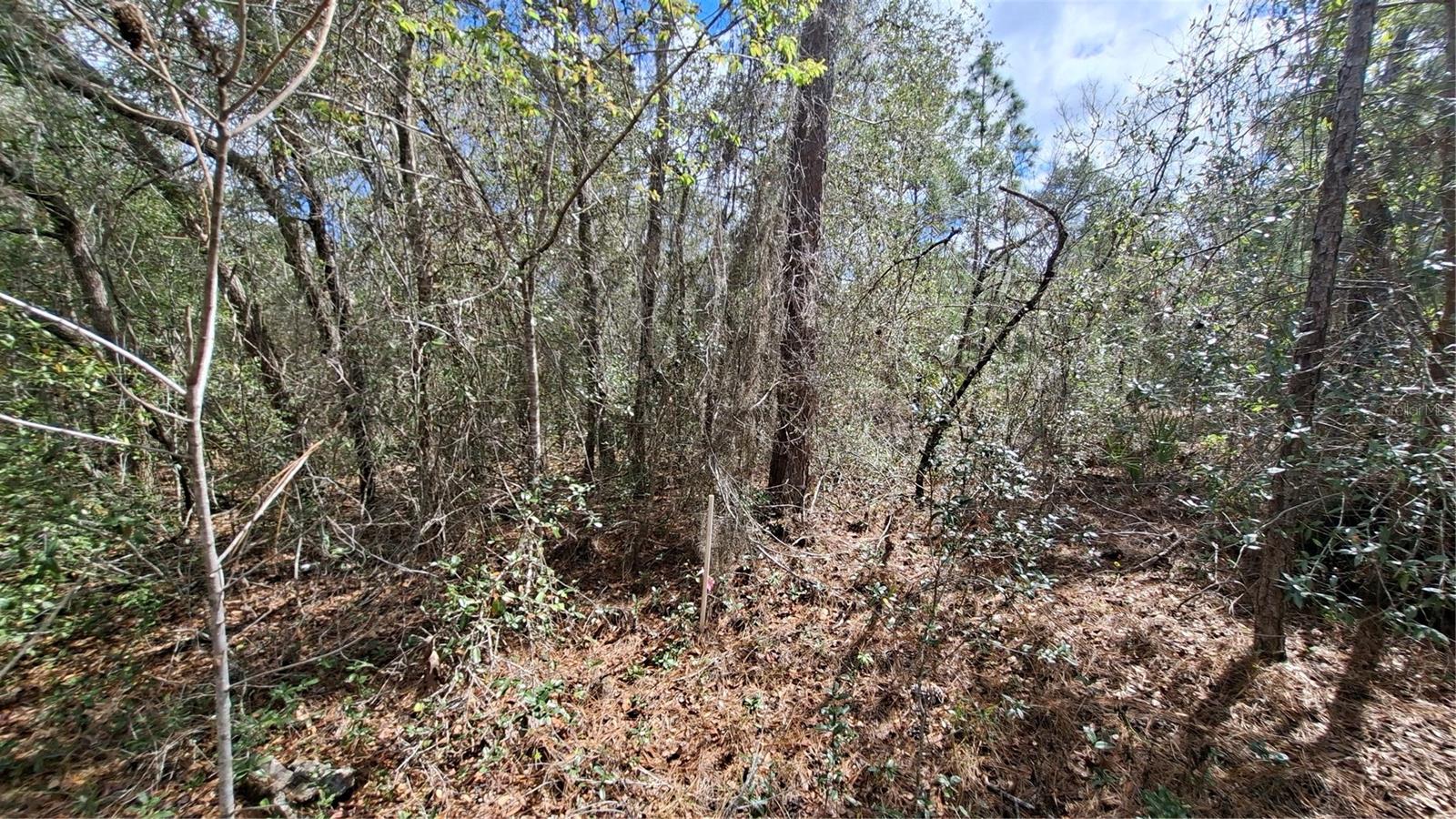 Fisher Run Property Photo 2