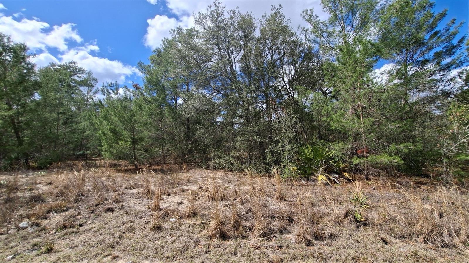 Fisher Run Property Photo 3