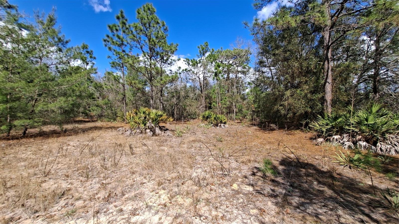 Fisher Run Property Photo 5