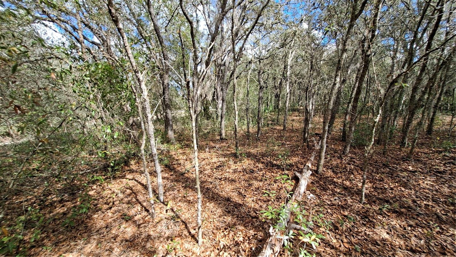 Fisher Run Property Photo 8
