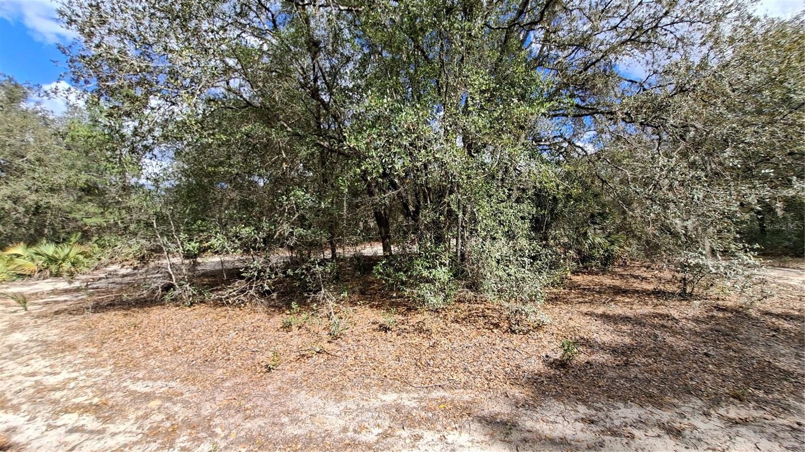 Fisher Run Property Photo 9