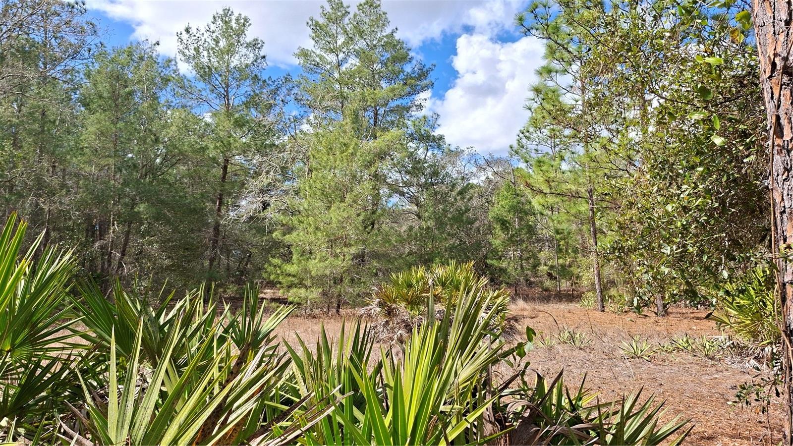 Fisher Run Property Photo 10