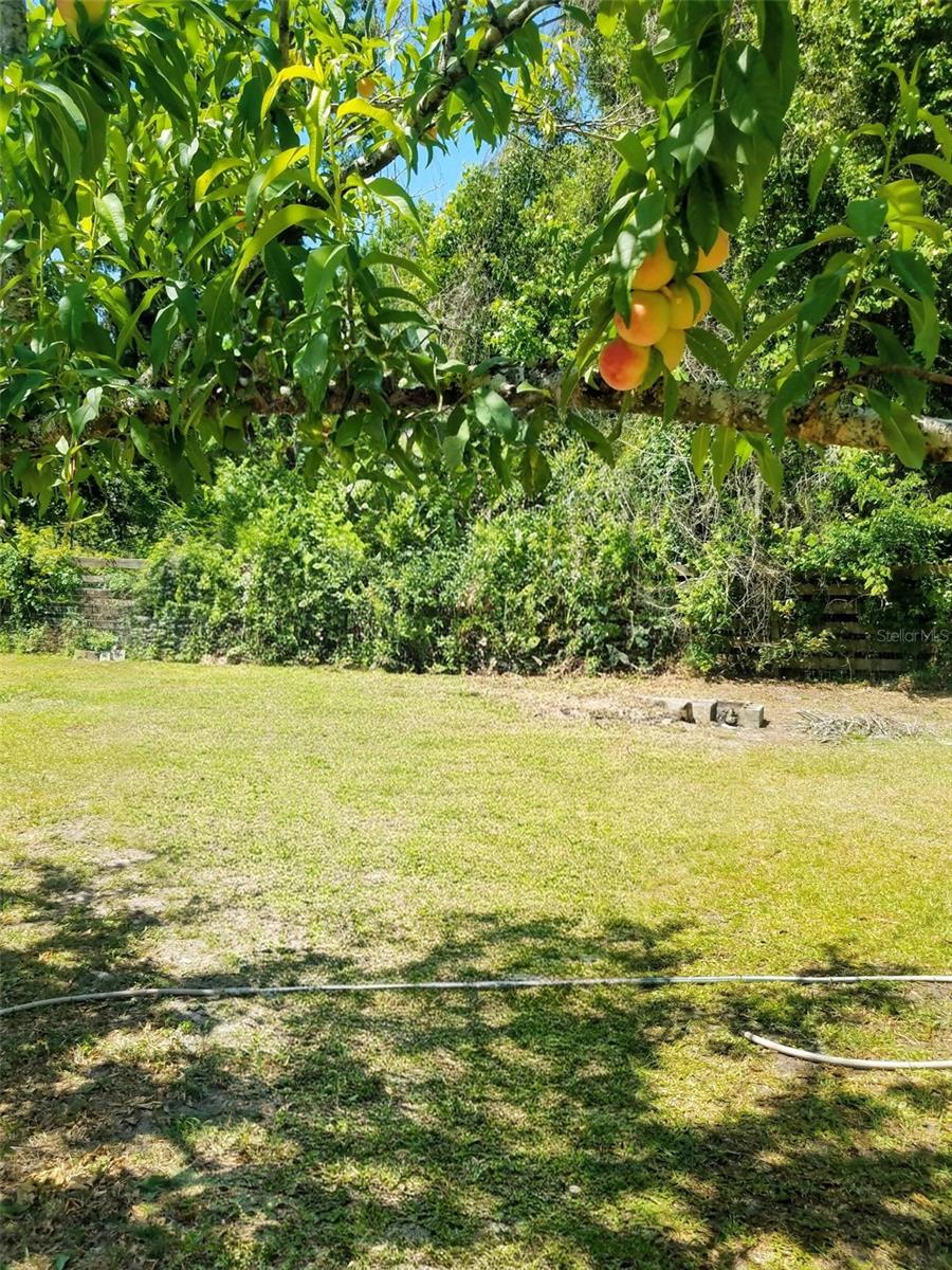 12182 Sw State Road 45 Property Photo 49