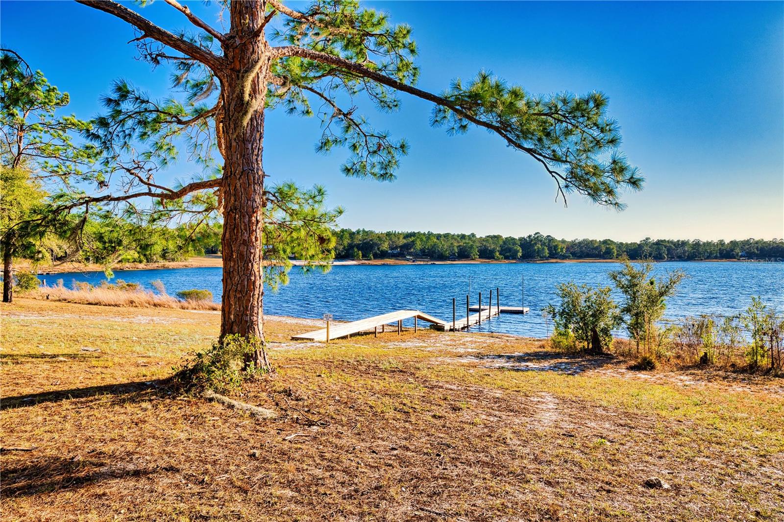 123 Mason Lake Trl Property Photo 8