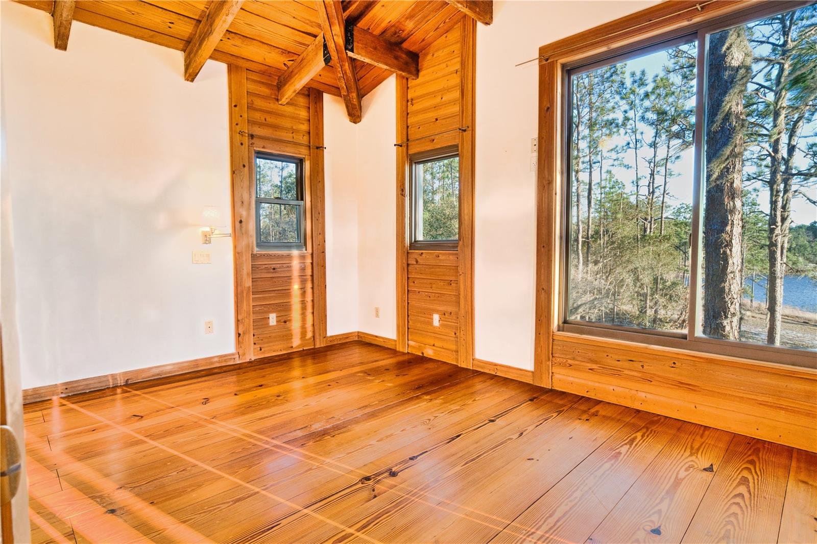 123 Mason Lake Trl Property Photo 29