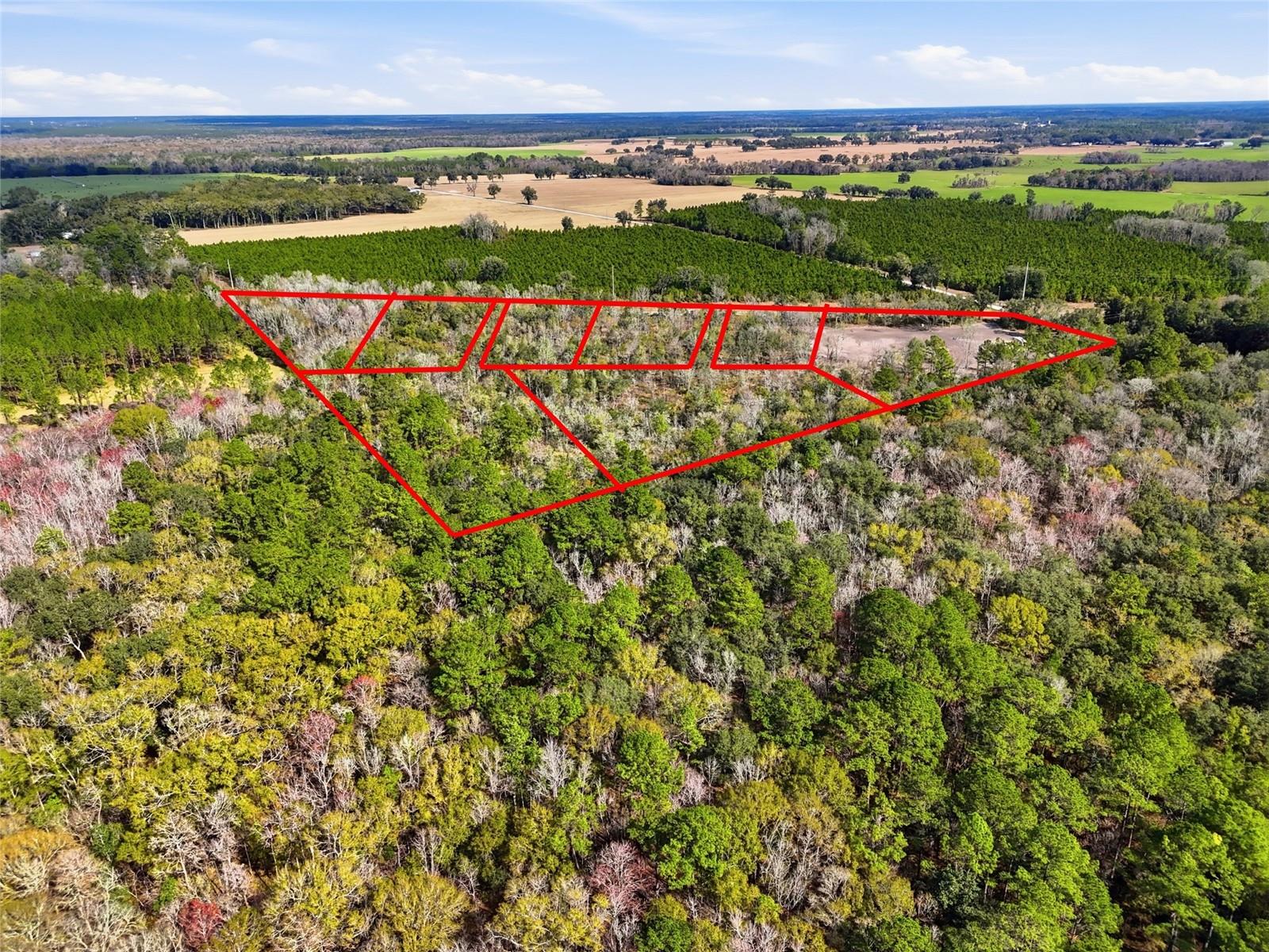 20994 Sw County Road 18 #lot 6 Property Photo 5