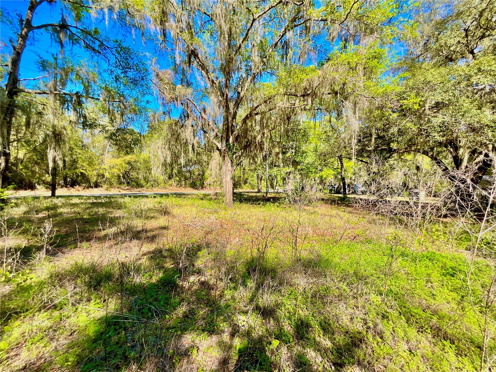 Lot 2 Se 16th St Property Photo 4