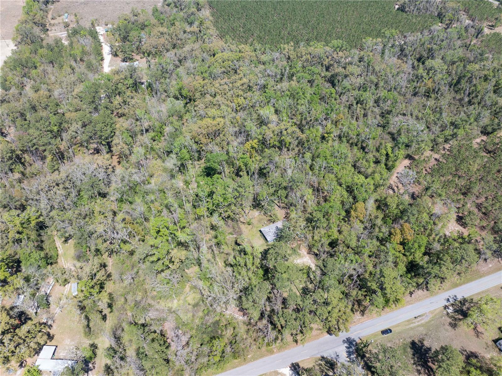 9311 86th St Property Photo 9