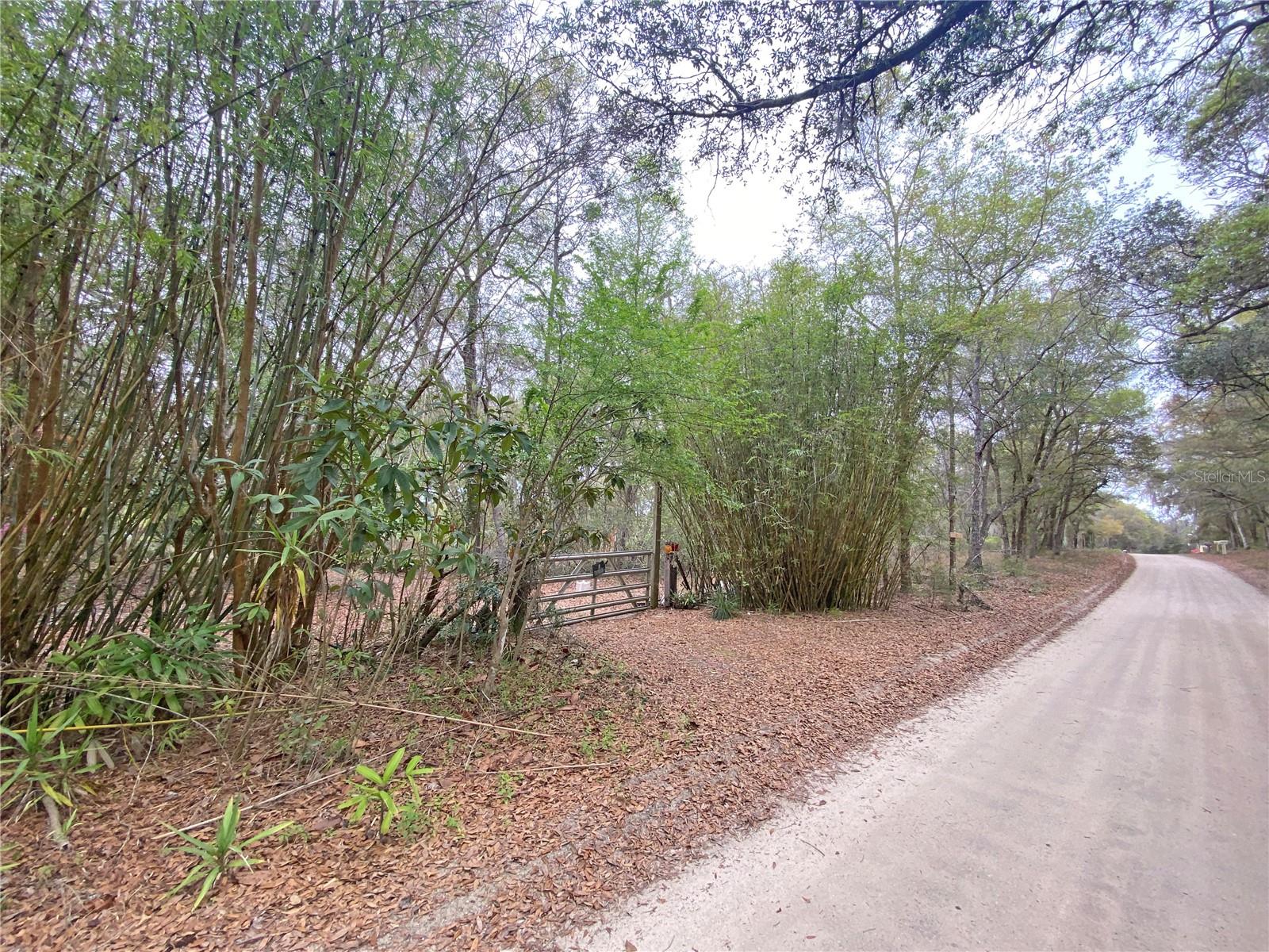 119 Twin Lakes Rd Property Photo 3