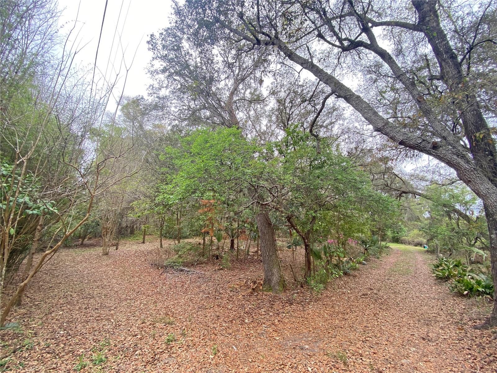 119 Twin Lakes Rd Property Photo 4