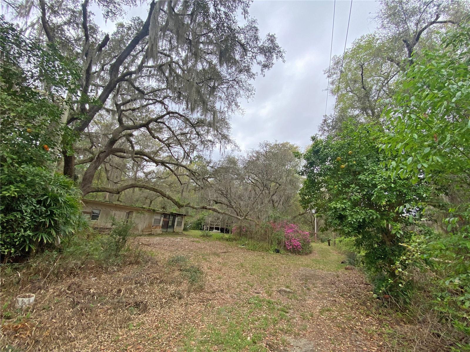 119 Twin Lakes Rd Property Photo 14