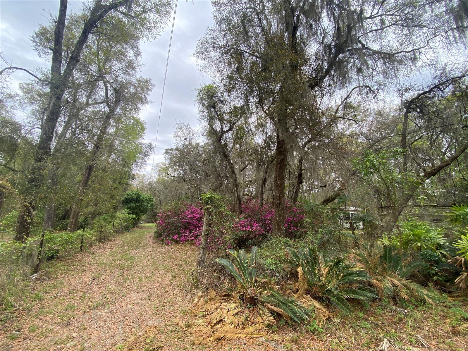 119 Twin Lakes Rd Property Photo 21