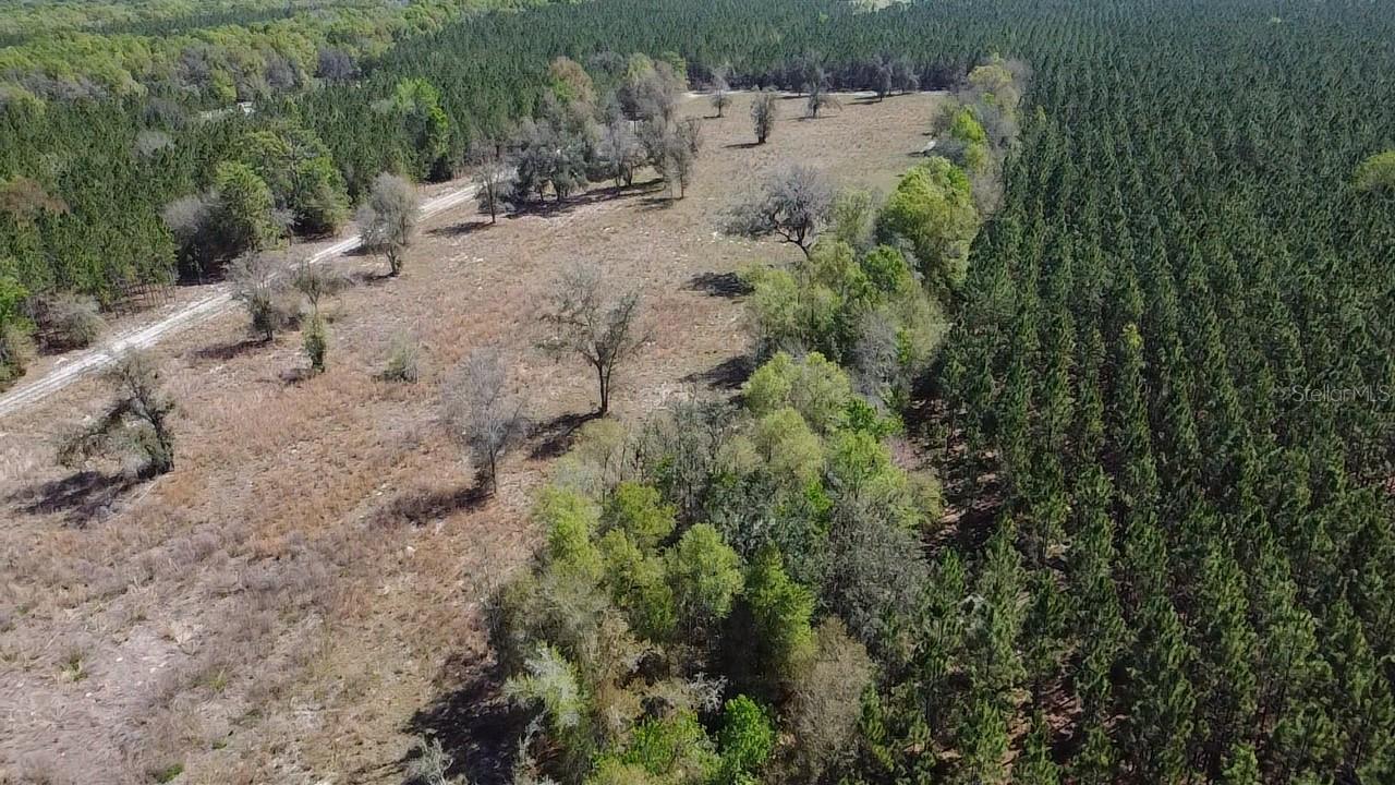 000 Sw Langelier Property Photo 1