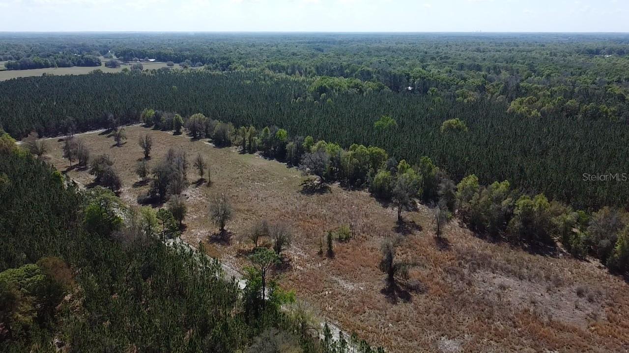 000 Sw Langelier Property Photo 3