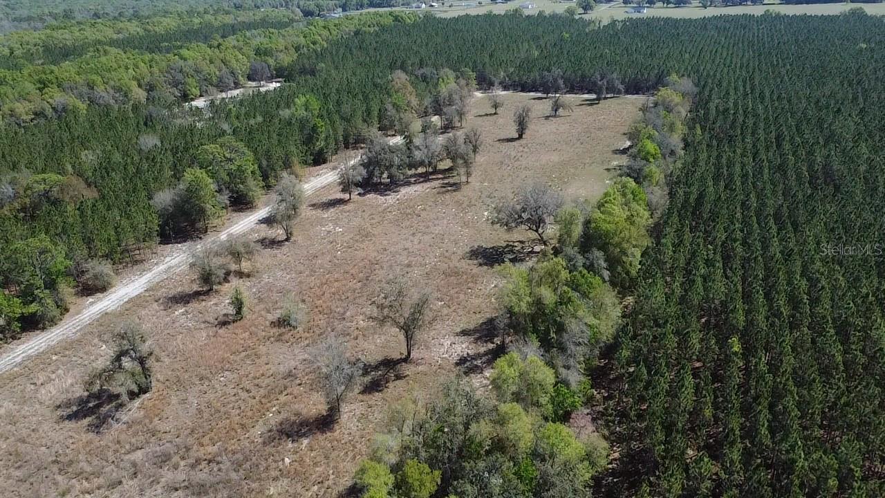 000 Sw Langelier Property Photo 8