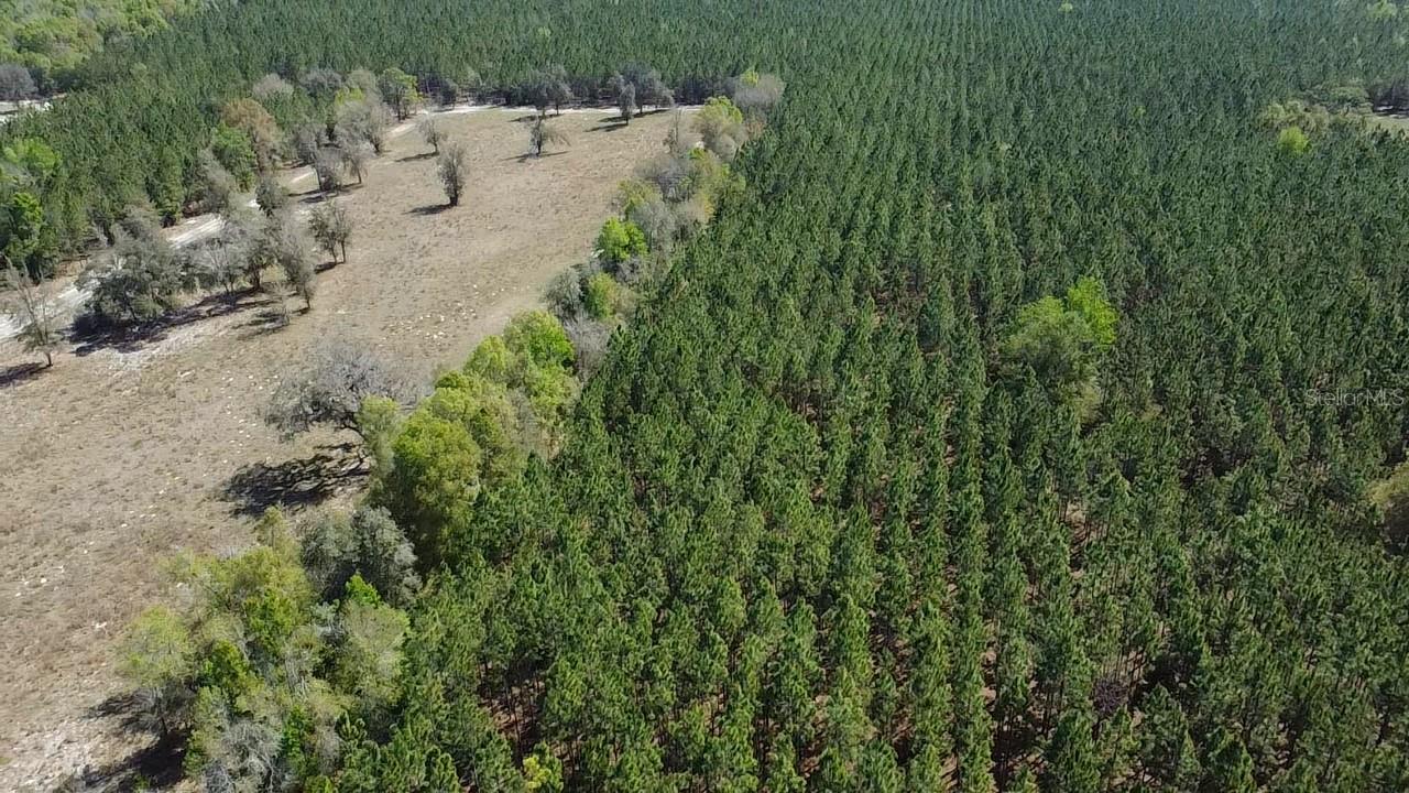 000 Sw Langelier Property Photo 9