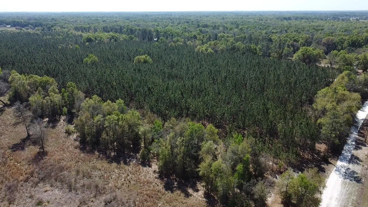 000 Sw Langelier Property Photo 21
